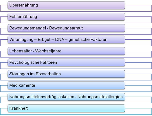 Die verschieden Faktoren von Übergewicht - owi - Praxis für Integrative Hypnosetherapie und Veränderungscoaching